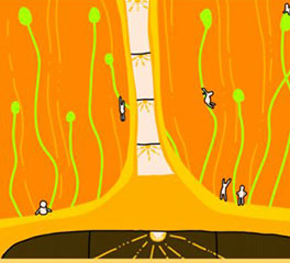 楊梓懿 插畫設計 本科預科