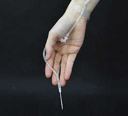 高名妍 首飾設(shè)計(jì) 本科預(yù)科