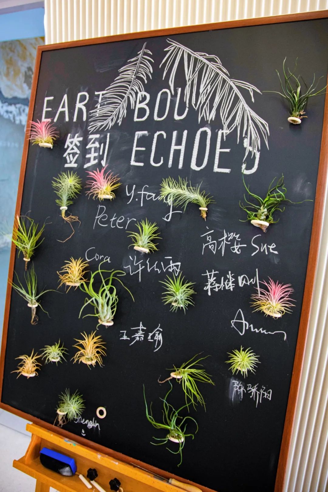 2024 Summer Show開幕式